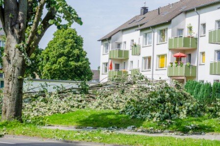 Verwüstung und Schäden nach starkem Sturm